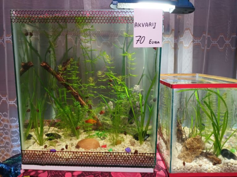 Akvarij kocka, 44 litre,  kompletno uređen