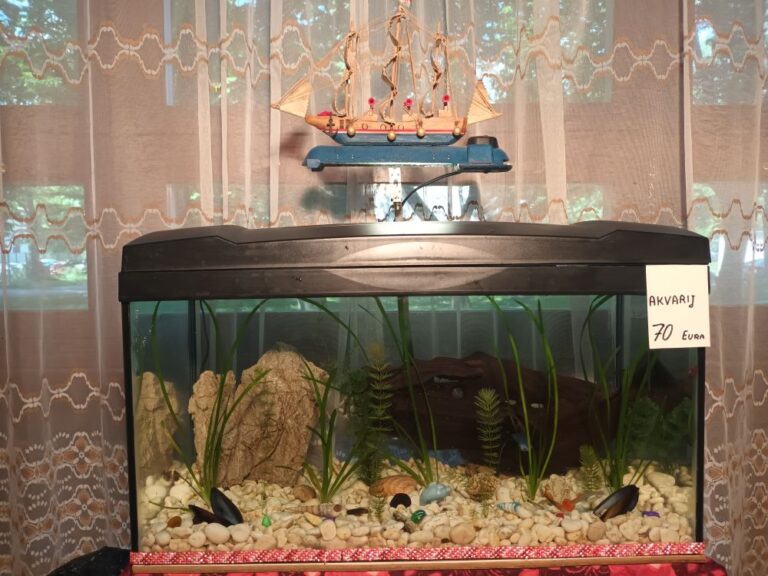 Akvarij 54 litre,  kompletno uređen