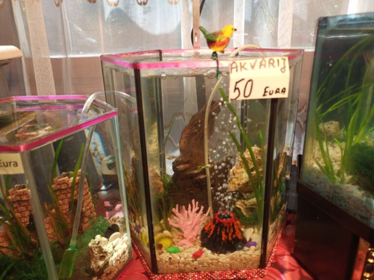 Akvarij ukrasni, šesterokutni