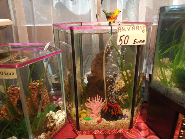 Akvarij šesterokutni, 19 litara