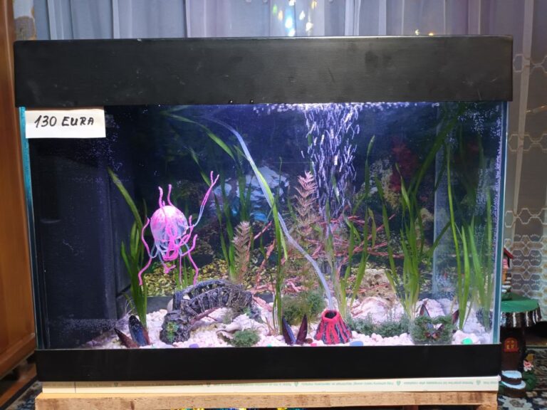 Akvarij sa poklopcem i svijetlom, 80 litara