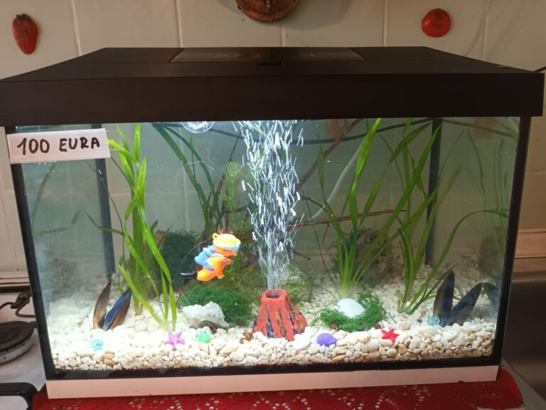 Akvarij sa poklopcem i svijetlom