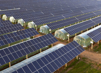 agrosunčane elektrane dani sunca