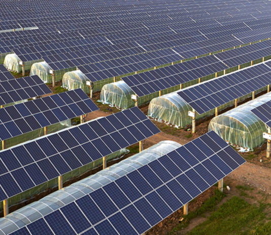 Panel Agrosunčane elektrane i Okrugli stol na konferenciji DANI SUNCA 2023. agrosunčane elektrane dani sunca