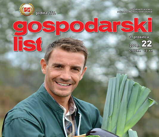 Ostali članci u ovom broju