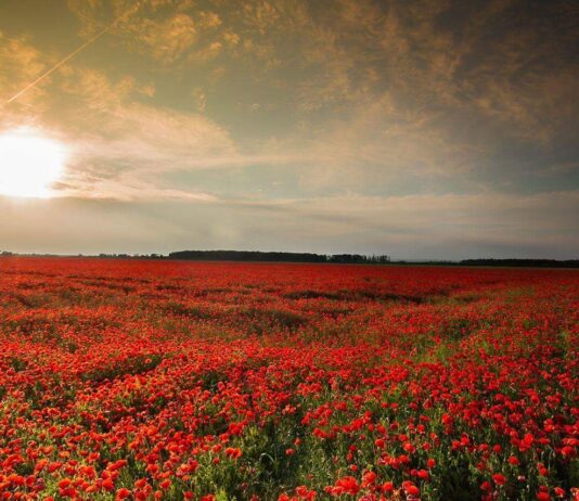 obavijest poljoprivrednicima monitoring