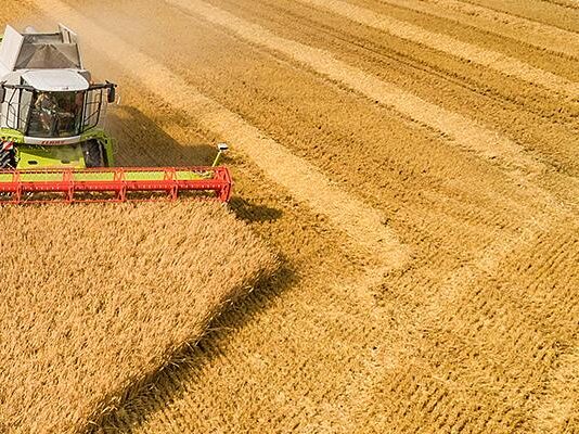 Isplativa poljoprivredna proizvodnja