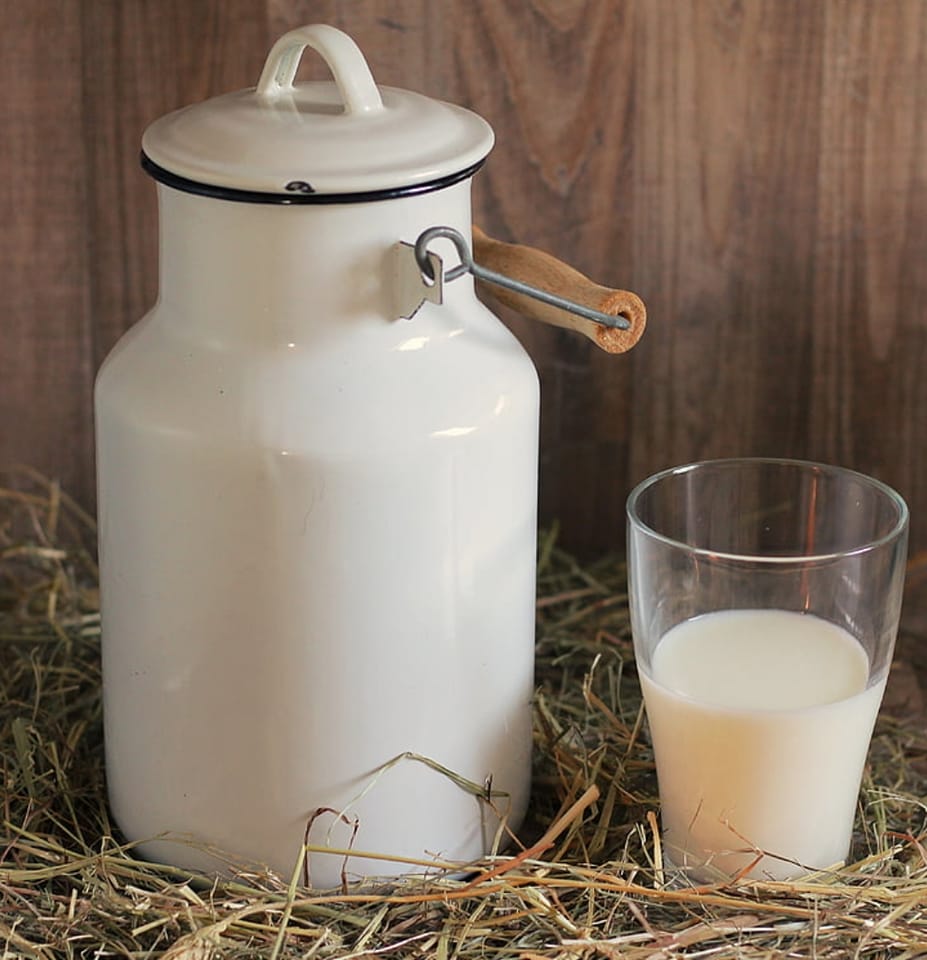 pad u mljekarstvu proizvodnja mlijeka stanje u mljekarstvu