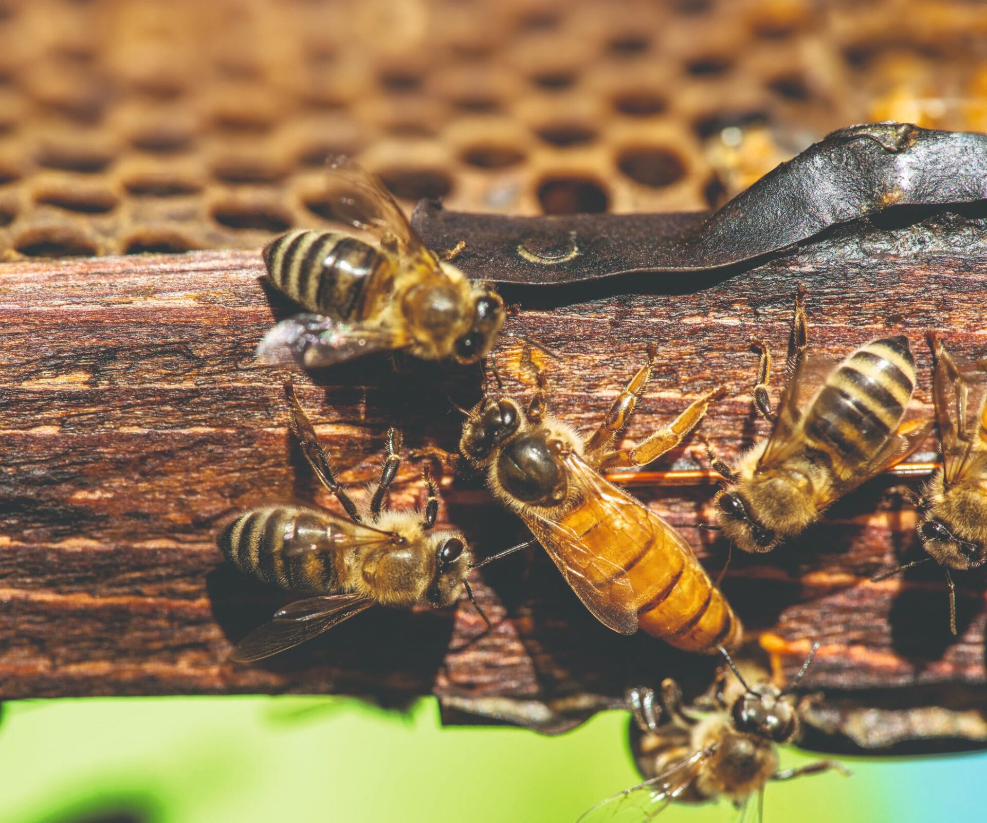 Kako do boljih zajednica? - Gospodarski list