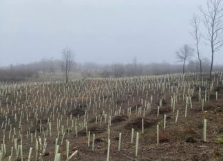 natura 2000