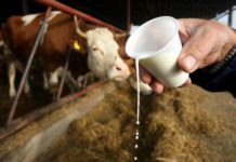 rast otkupnih cijena kravljeg mlijeka