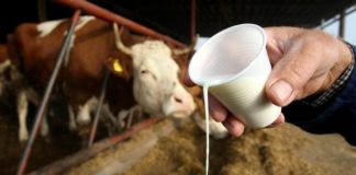 rast otkupnih cijena kravljeg mlijeka