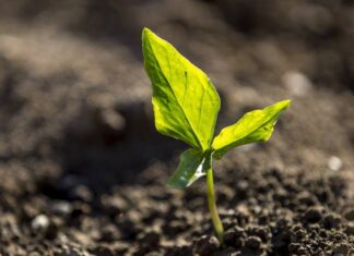 Agriculture and Resource Management