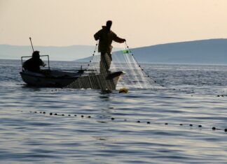 Ribarstvo i označavanje proizvoda glavne teme AGRIFISH-a