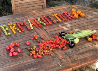 Razmjena sjemena i vrtlarske edukacije u Splitu