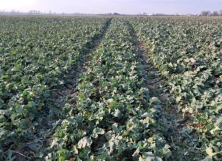 Radovi na oraničnim površinama tijekom ožujka