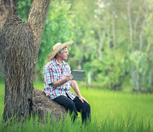 Potpora prenošenju znanja