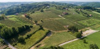 Piknik u vinogradu                                                                      u blizini Svetog Ivana Zeline
