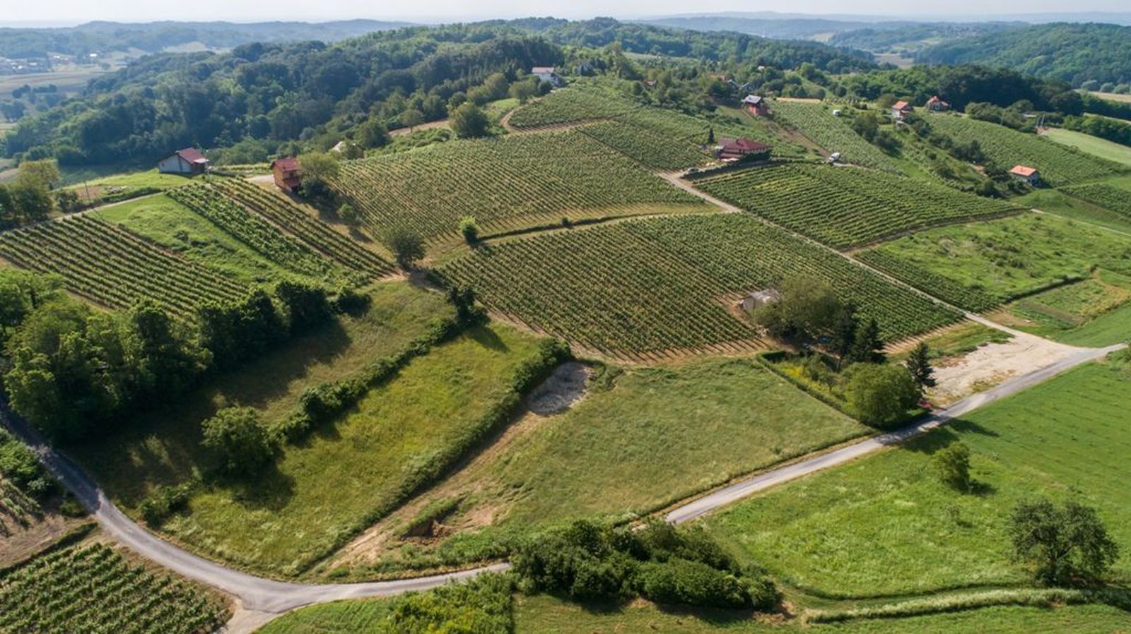 Piknik u vinogradu                                                                      u blizini Svetog Ivana Zeline