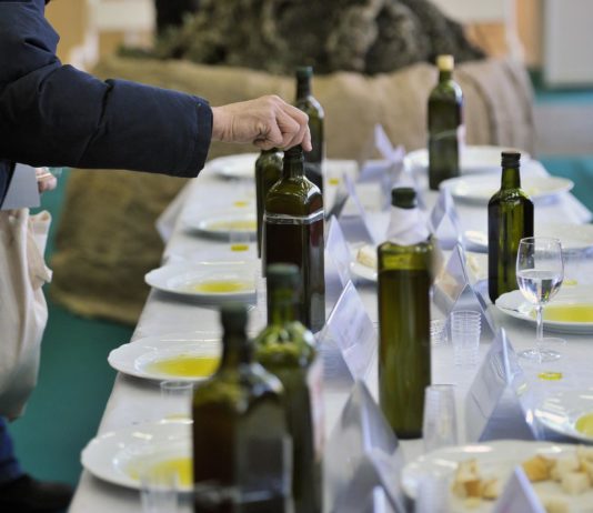 festival maslina u Zagrebu