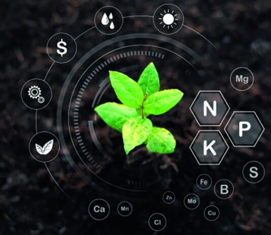 Gnojidba ozimih strnih žitarica gnojidba ozimih strnih žitarica