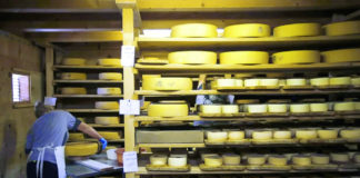 skaldištenje sireva čuvanje sireva