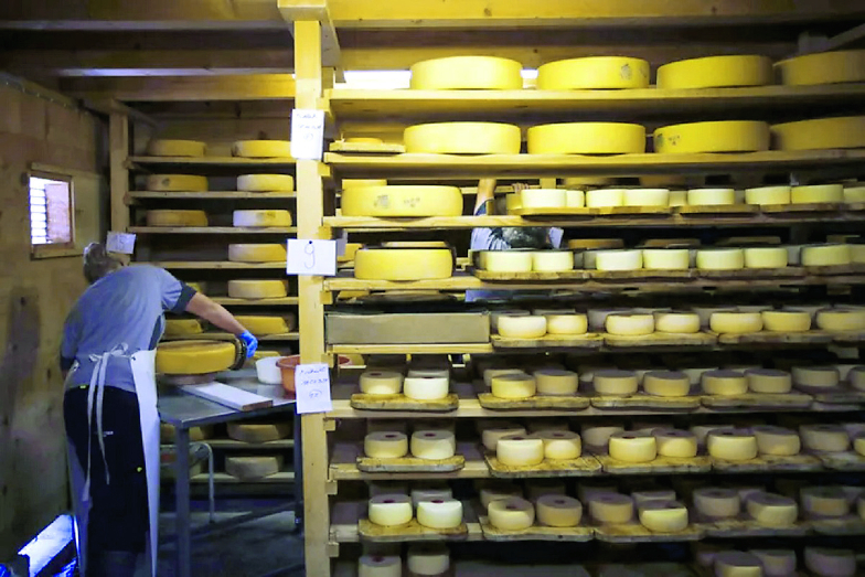 skaldištenje sireva čuvanje sireva