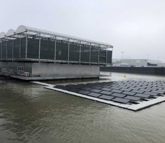 plutajuća farma u rotterdamu