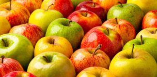 Učinkovitija proizvodnja jabuka uz suvremenu informatičku podršku