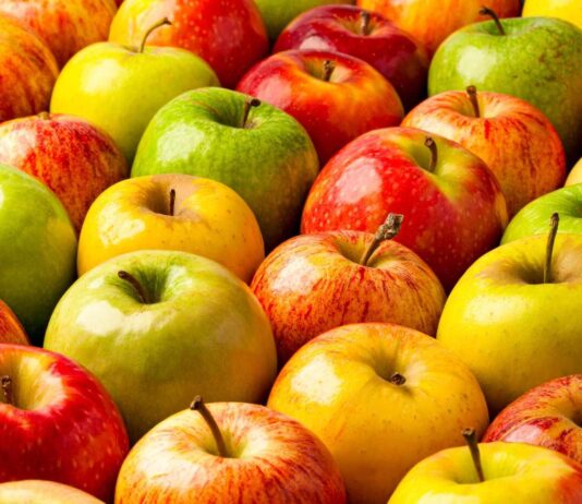 Učinkovitija proizvodnja jabuka uz suvremenu informatičku podršku