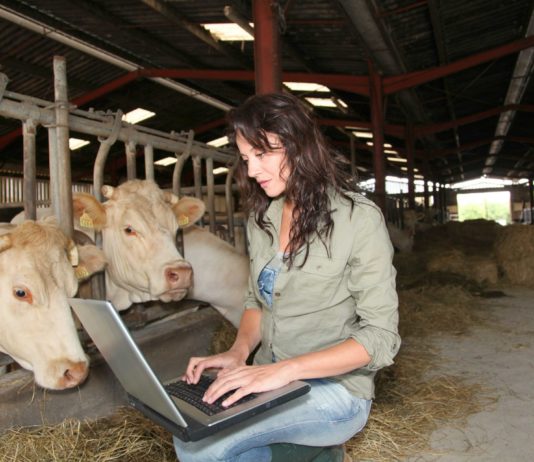 Potpora za pružanje savjetodavnih usluga