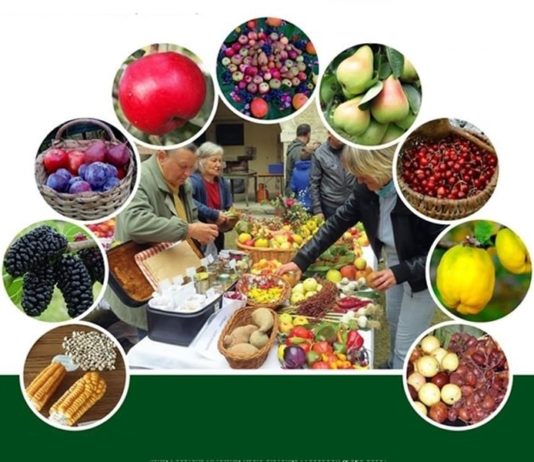 “Sačuvajmo stare sorte Cernik” sačuvajmo stare sorte cernik 2022