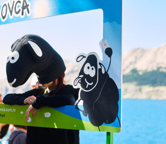 Baška ponovno oblači crno runo – stiže jubilarna crna ovca!