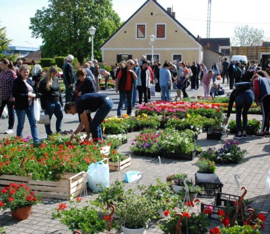 Sajmovi, izložbe, dani, festivali.. sajmovi u svibnju