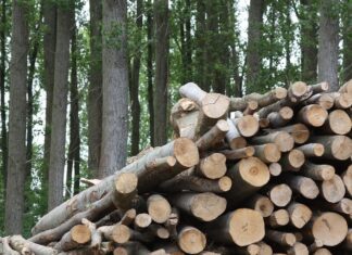 Hrvatska ima jedan od najvećih potencijala u EU za razvoj biogospodarstva