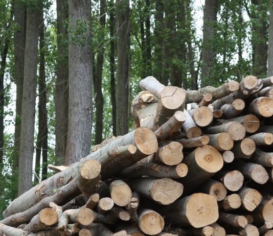 Hrvatska ima jedan od najvećih potencijala u EU za razvoj biogospodarstva