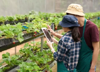 eit food plaćeno stažiranje u inozemstvu stažiranje u eu