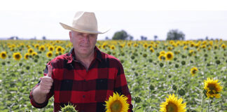 Ekološka gnojiva s najboljim omjerom cijene i kvalitete