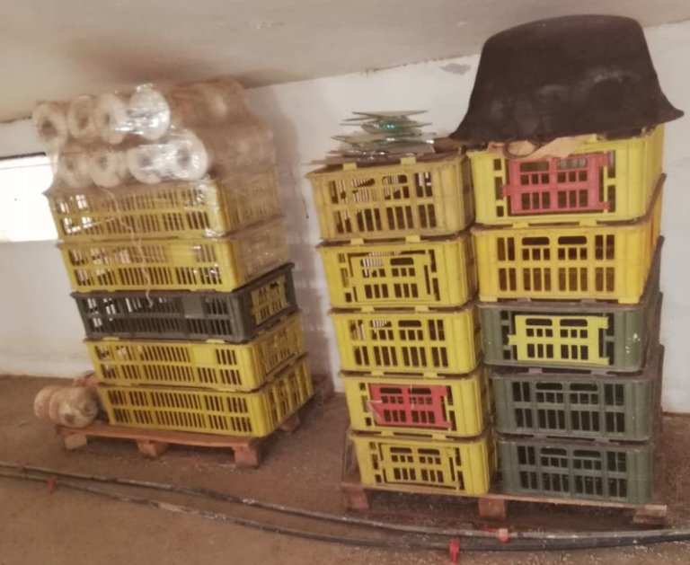 Gajba za piliće Gajba za piliće