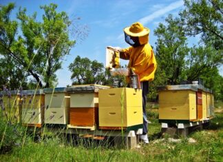 Demonstracijski događaj "Proljetni radovi u pčelinjaku"