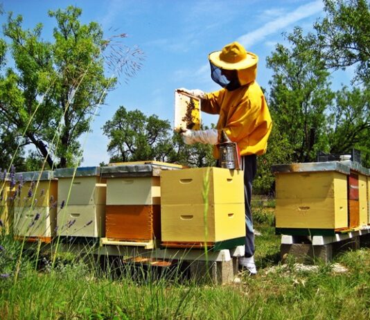 Demonstracijski događaj “Proljetni radovi u pčelinjaku” Demonstracijski događaj "Proljetni radovi u pčelinjaku"