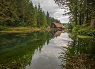revitalizacija gorskog kotara gorski kotar