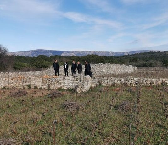 restauracija poljoprivrede