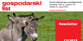 Newsletter 12/2015