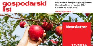 Newsletter 17/2016