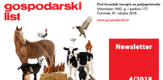 Newsletter 4/2018