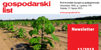 Newsletter 11/2015