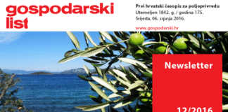 Newsletter 12/2016