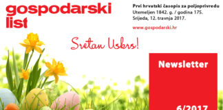 Newsletter 4/2017