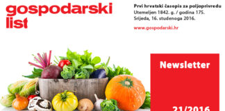 Newsletter 21/2016
